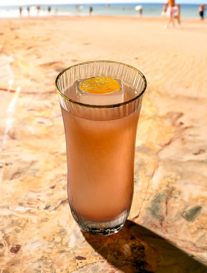 Palm-Paloma